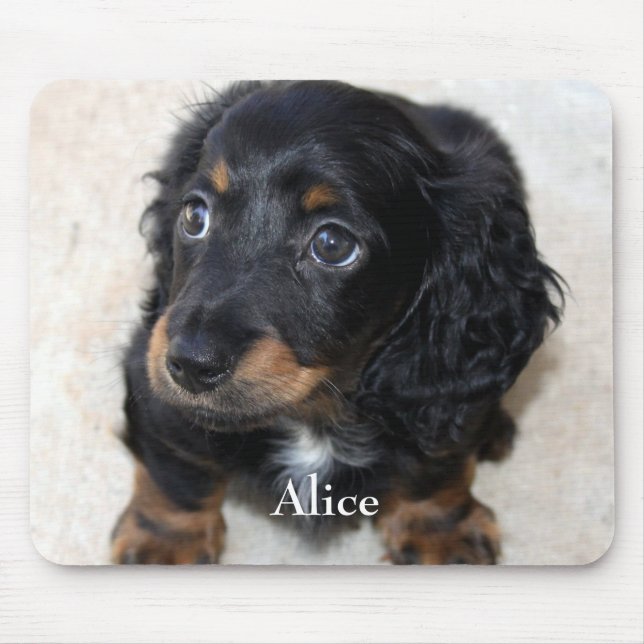 Niedliche schwarze Dackel Welpen Hund Haustier Mousepad (Vorne)