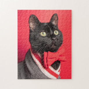 Niedliche Schwarze Katze in Bow Krawatte auf Red