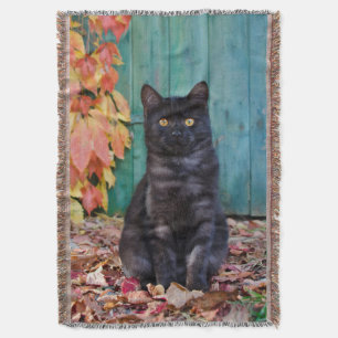 Niedliche schwarze Katze Kitten mit roten Blätter Decke