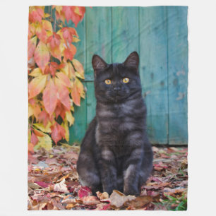 Niedliche schwarze Katze Kitten mit roten Blätter  Fleecedecke