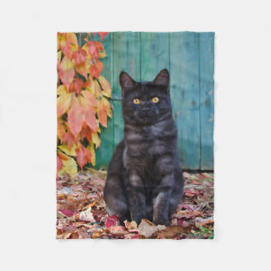 Niedliche schwarze Katze Kitten mit roten Blätter Fleecedecke