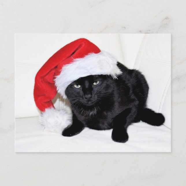 Niedliche Schwarze Katze mit Weihnachtsmannmütze Postkarte (Vorderseite)