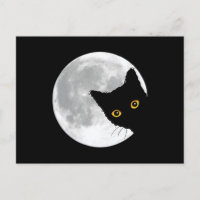 Niedliche Schwarze Katze Vollmond