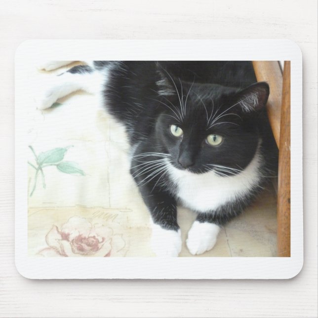 Niedliche schwarze u. weiße Katze Mousepad (Vorne)