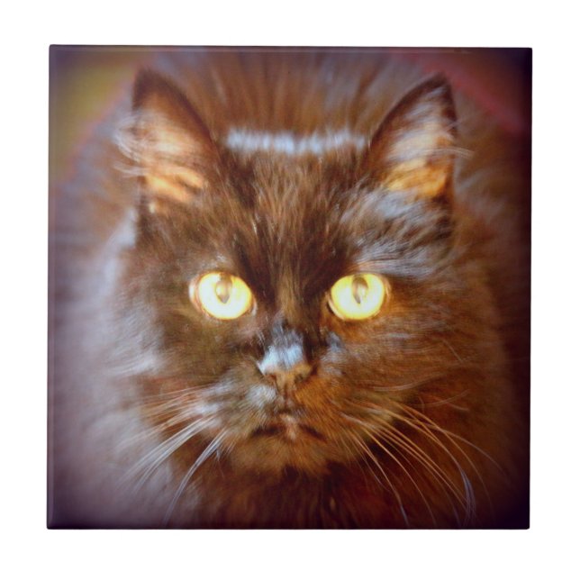 niedliche Schwarzkatze Fliese (Vorderseite)