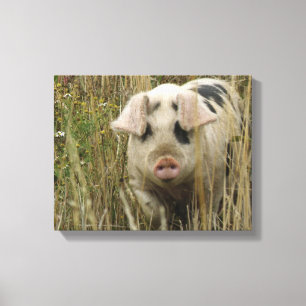 Niedliche Schweineblatte Leinwanddruck