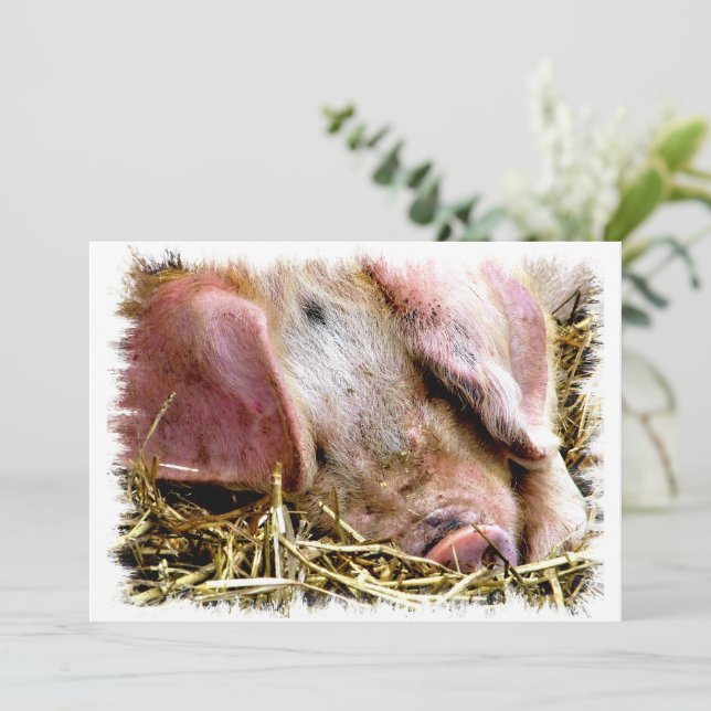 NIEDLICHE SCHWEINEINLADUNG (Stehend Vorderseite)