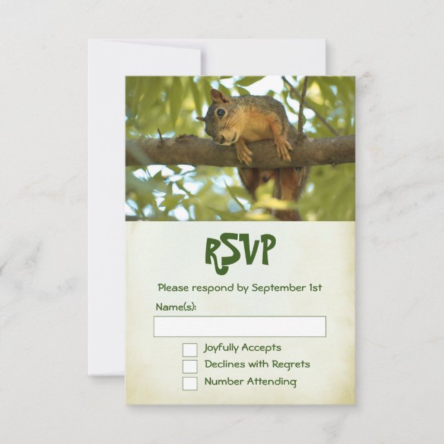 Niedliche, seltsame Eichhörnchenfotografie RSVP Karte (Vorderseite)