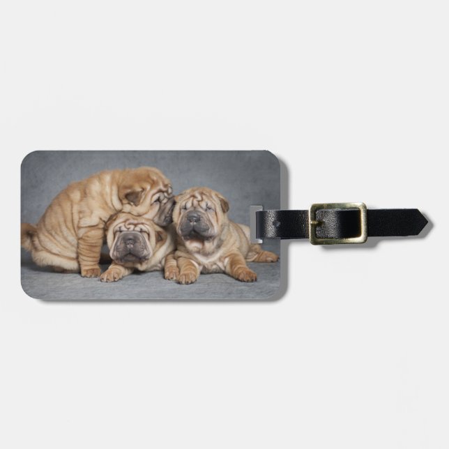 Niedliche Shar Pei Welpen Gepäckanhänger (Vorderseite horizontal)