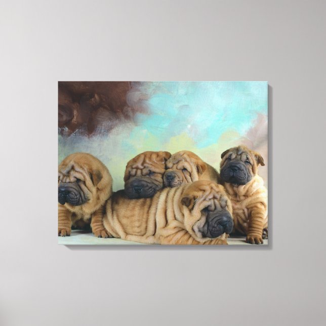 Niedliche Shar pei Welpen Leinwanddruck (Vorderseite)