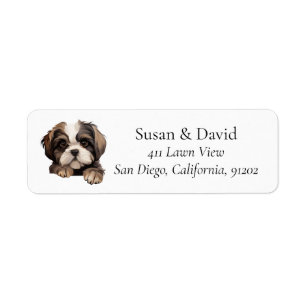 Niedliche Shih Tzu Hund Rasse Heimtier Liebhaber