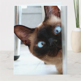 NIEDLICHE SIAMESE CAT PEEKING GLÜCKLICH GEBURTSTAG KARTE