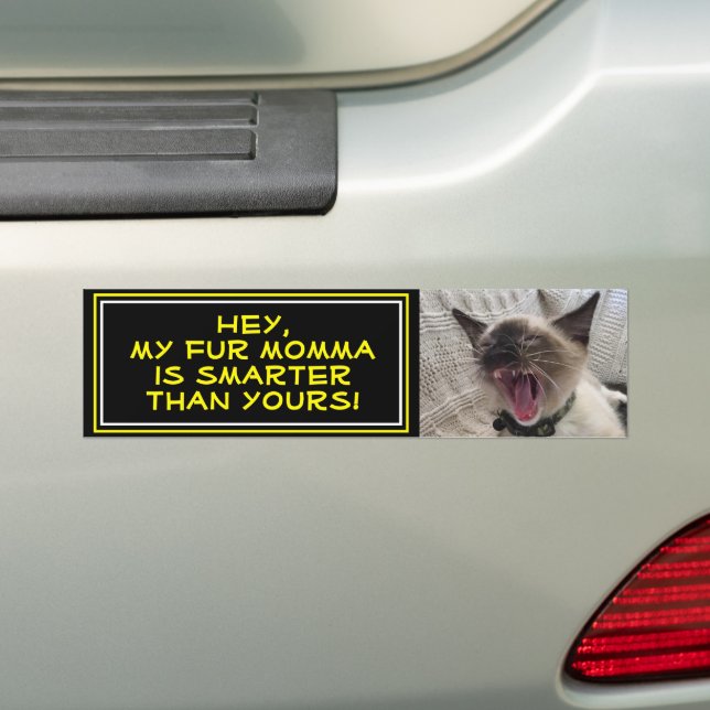 Niedliche Siamese Kitten Nah-Up-Fotovorlage Autoaufkleber (Auf Auto)