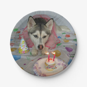 Niedliche Sibirische Husky Geburtstagsplatte Pappteller