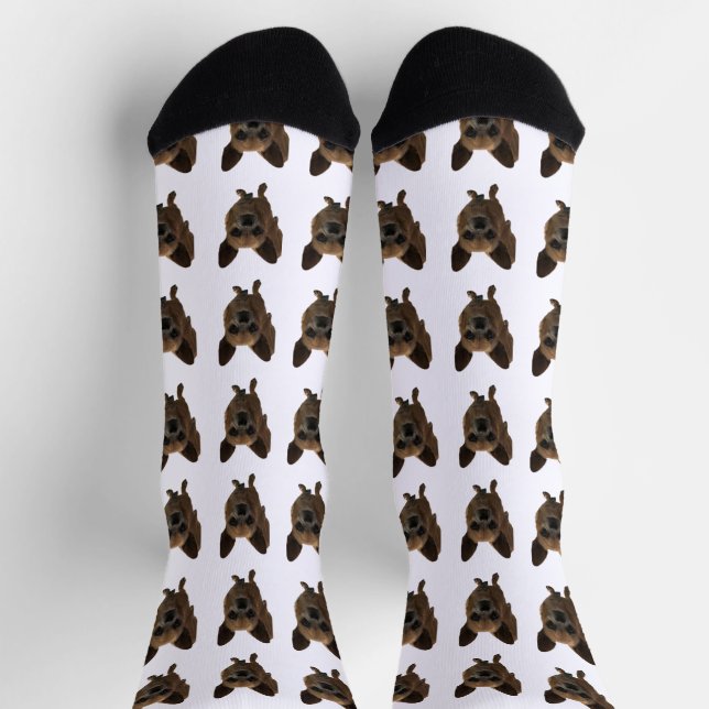 Niedliche Socken aus weißem Foto (Oben)