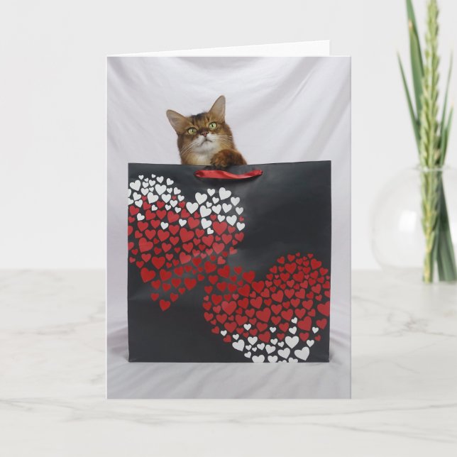 Niedliche somalische Katze im Beutel Valentinstag Dankeskarte (Vorderseite)