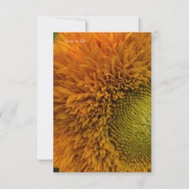 Niedliche Sonnenblume mit grüner Mitte Mitteilungskarte