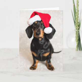 Niedliche Sparkle Dackel Welpe mit Weihnachtshut Feiertagskarte