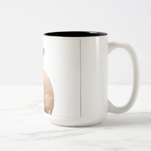 Niedliche sphynx Katze Zweifarbige Tasse