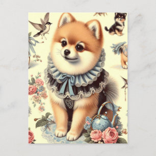 Niedliche Spitz-Malerei Postkarte