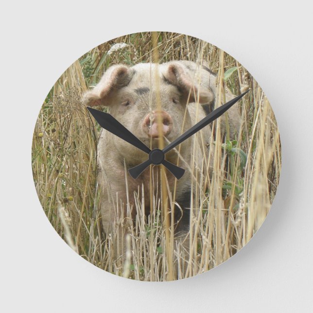 Niedliche Spotty Schwein-Wand-Uhr Runde Wanduhr (Vorderseite)