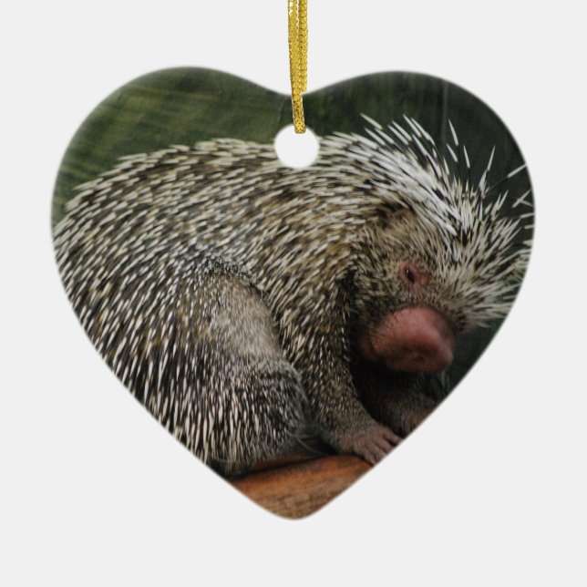 Niedliche Stachelschwein-Verzierung Keramik Ornament (Vorne)
