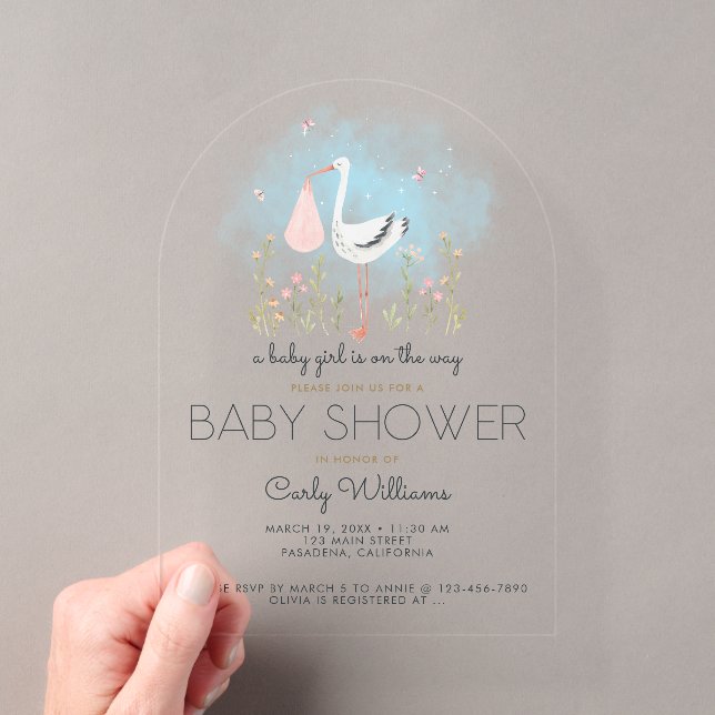 Niedliche Stork Baby-Dusche Acryleinladungen (Insitu (Handheld))