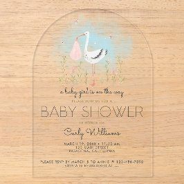 Niedliche Stork Baby-Dusche Acryleinladungen