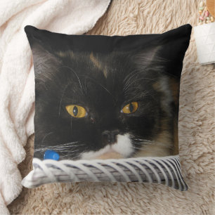 Niedliche Studentenkatze Kissen