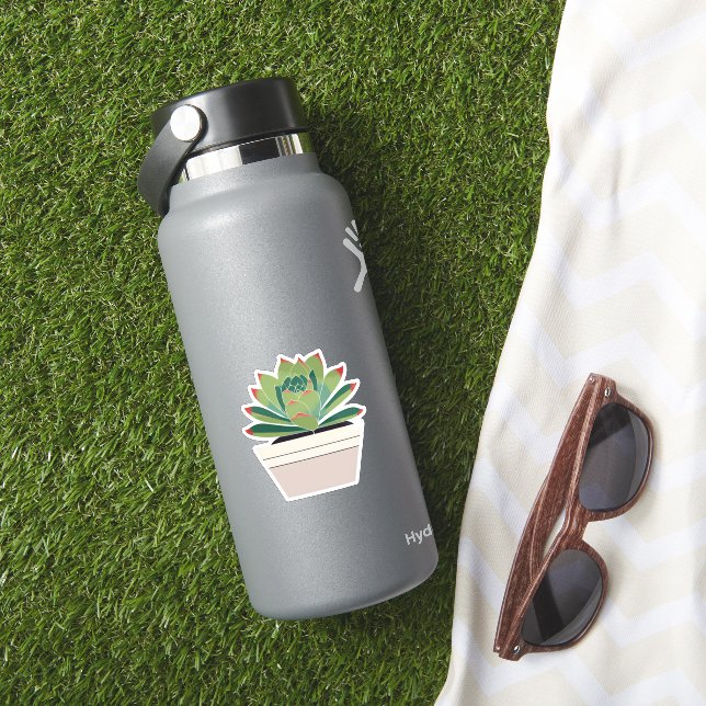 Niedliche sukkulente Pflanze Aufkleber (HydroFlask Insitu)