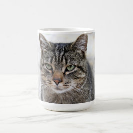 Niedliche, süße, bezaubernde KatzenTasse Kaffeetasse