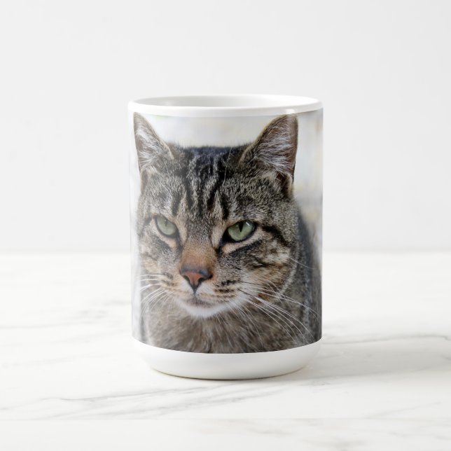 Niedliche, süße, bezaubernde KatzenTasse Kaffeetasse (Mittel)