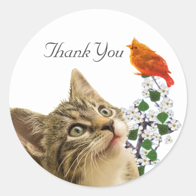 Niedliche Tabby Cat, Blume & Kleiner Vogel Danke C Runder Aufkleber (Vorderseite)