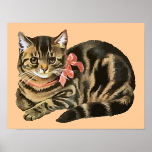 Niedliche Tabby-Kaliko-Katze/Kätzchen-Plakat Poster