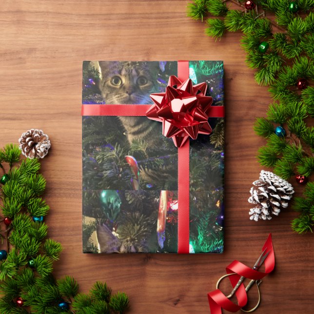 Niedliche Tabby-Katze im Weihnachtsbaum Geschenkpapier (Feiertagsgeschenk)