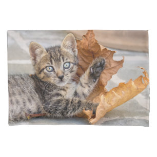 Niedliche Tabby Katze Kätzchen Leaf - Kissenbezug