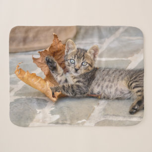 Niedliche Tabby Katze Kätzchen Leaf - Sherpadecke