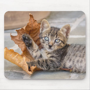 Niedliche Tabby Katze Kätzchen Spielen mit Leaf Mousepad