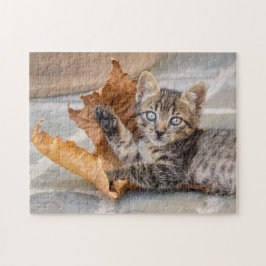 Niedliche Tabby-Katze mit Leder -
