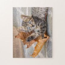 Niedliche Tabby-Katze mit Leder -