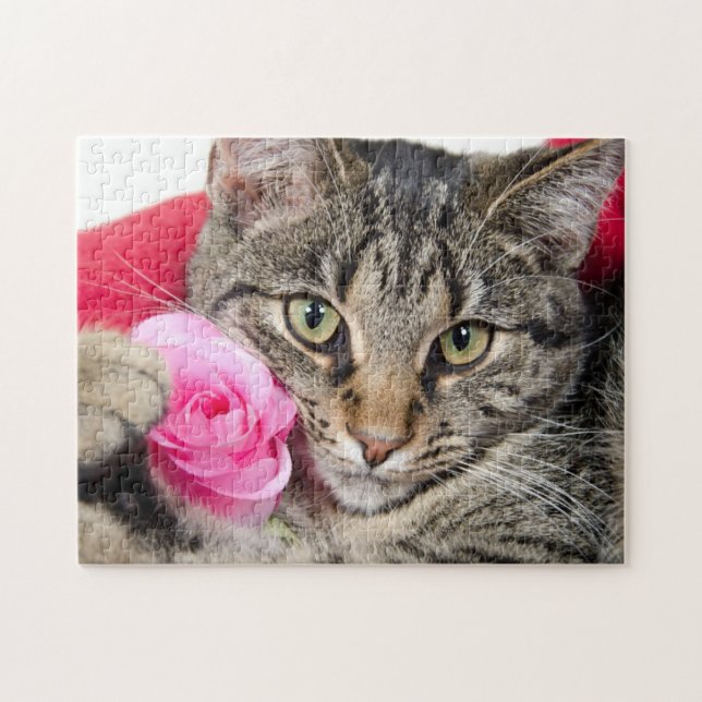 Niedliche Tabby-Katze mit Rose (Horizontal)
