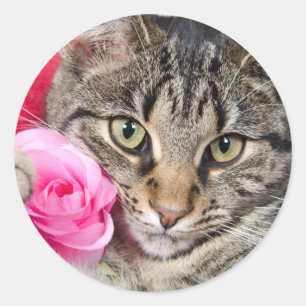 Niedliche Tabby-Katze mit Rose Runder Aufkleber