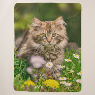 Niedliche Tabby Maine Coon Kitten Cat Animal Head  Sherpadecke