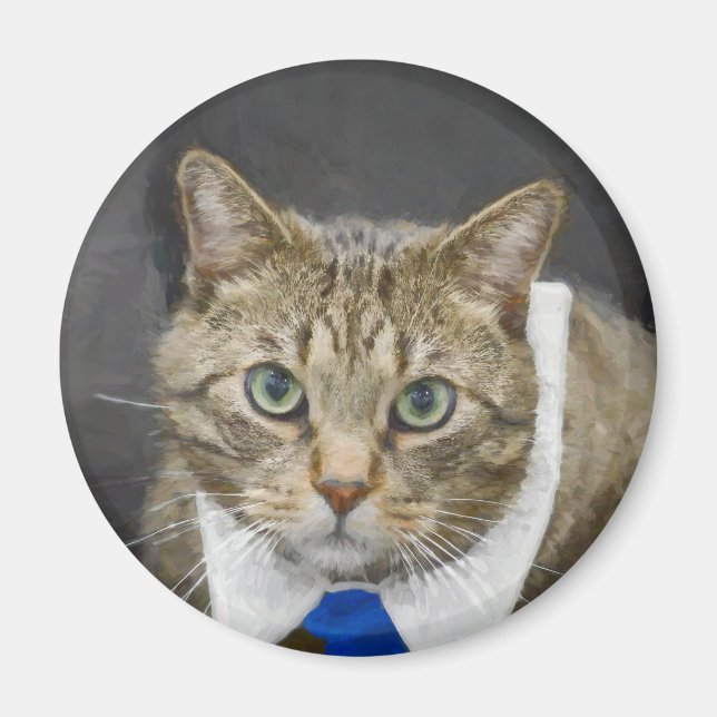 Niedliche Tablette Katze Brown Grau Blue Krawatte  Magnet (Vorne)