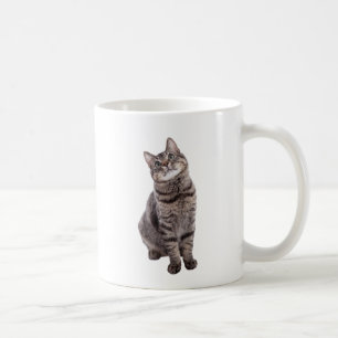Niedliche Tablettenkatze Kaffeetasse