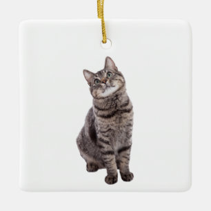 Niedliche Tablettenkatze Keramikornament
