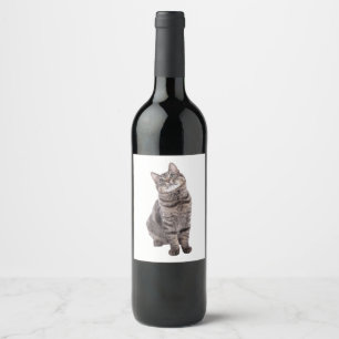 Niedliche Tablettenkatze Weinetikett