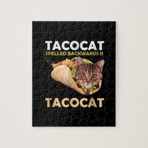 Niedliche Tacokat Taco Katze im Dunkeln