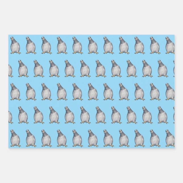 Niedliche Tauben Geschenkpapier Set (Vorderseite)
