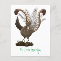 Niedliche tolle lyrebird Cartoon Illustration